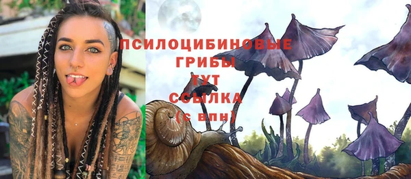 прущий лед Алексеевка