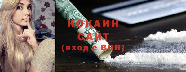 дмт Абаза