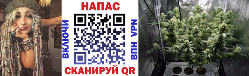 МАРИХУАНА SATIVA & INDICA  mega ONION  Нефтегорск  даркнет сайт 
